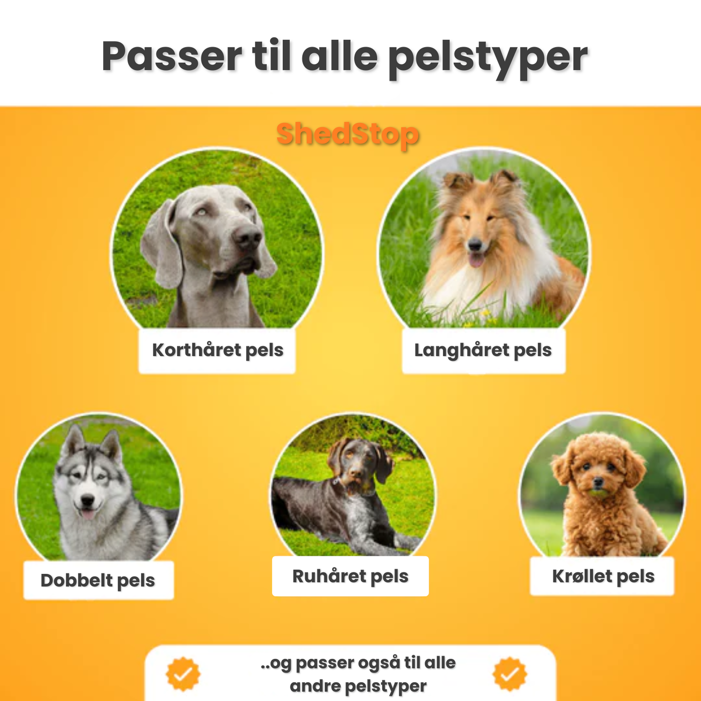 ShedStop – Professionel pelspleje derhjemme 🐾