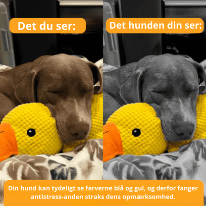 BarkDuck – Antistress Anden