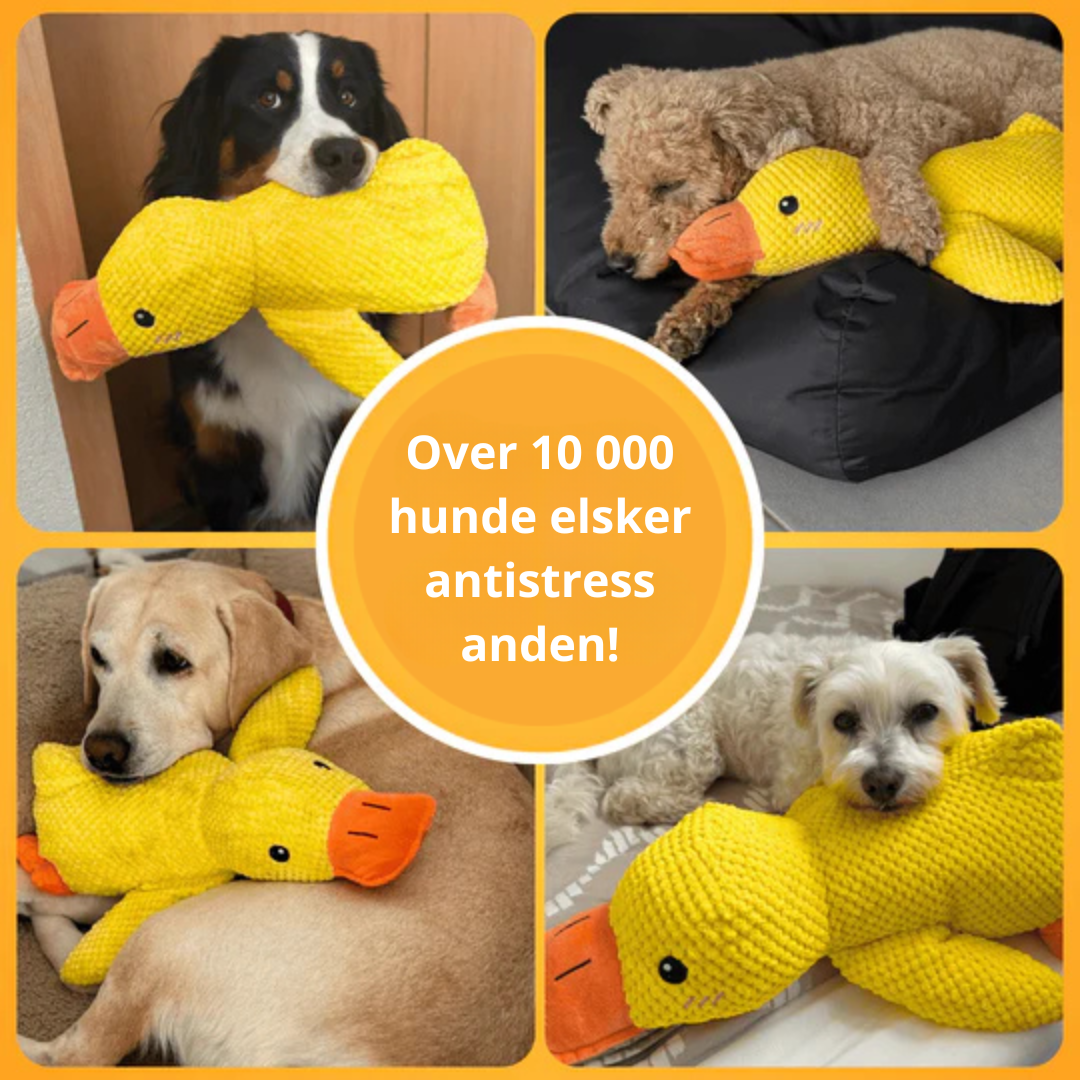 BarkDuck – Antistress Anden