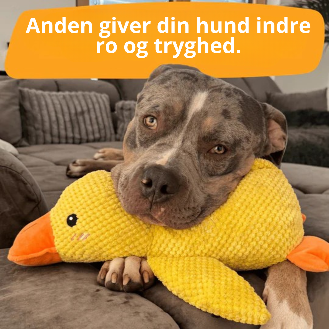 BarkDuck – Antistress Anden