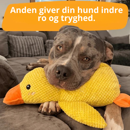 BarkDuck – Antistress Anden